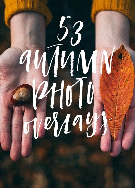 Suspendisse quam at vestibulum